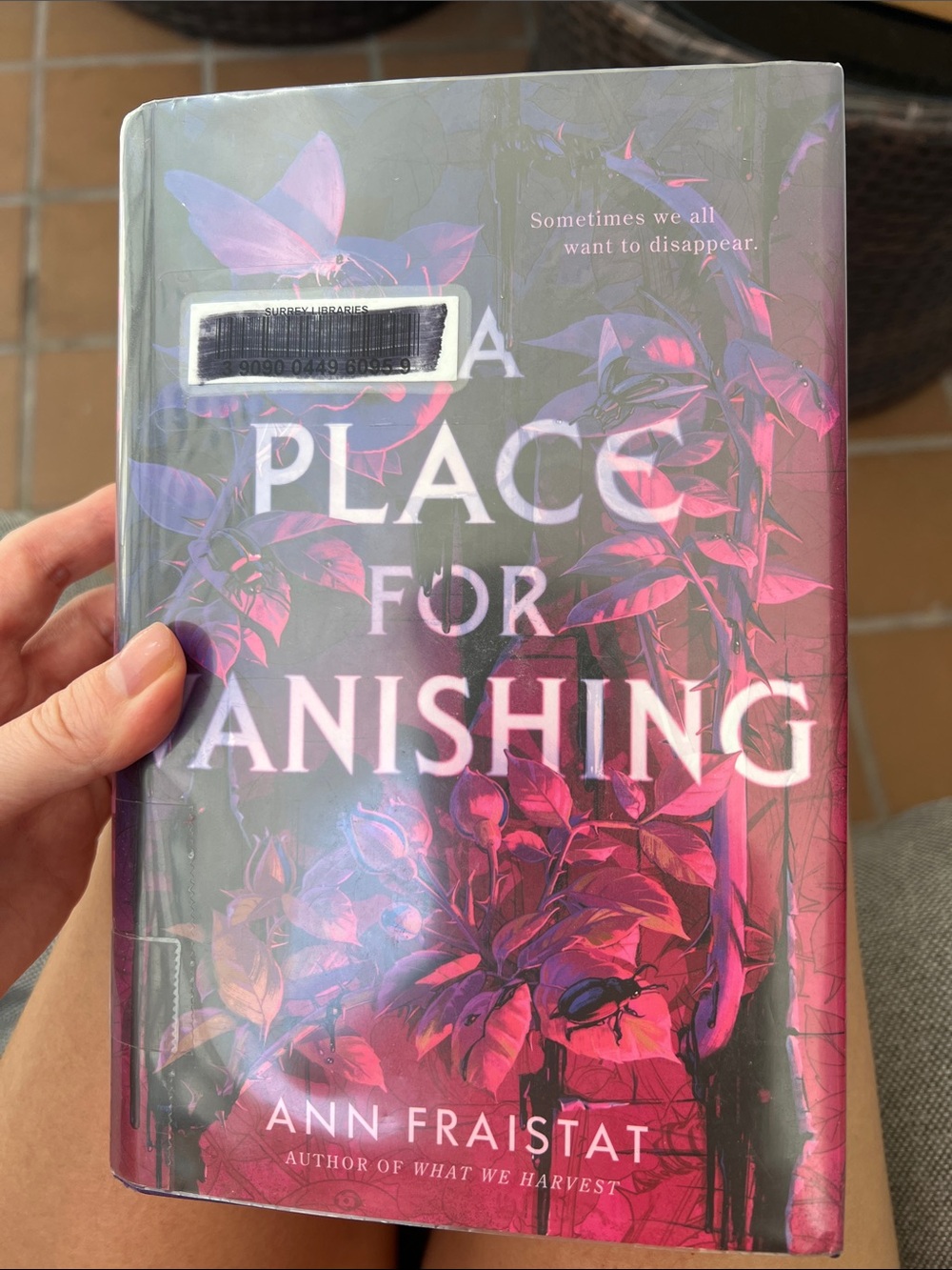 A Place for Vanishing by Ann Fraistat